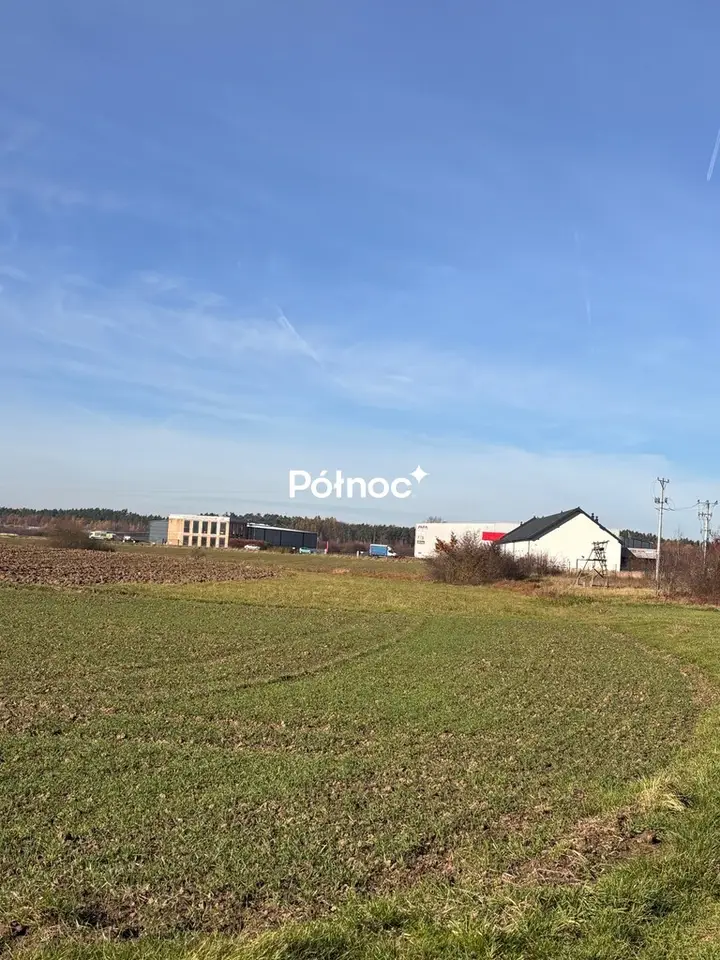 Zdjęcie 6