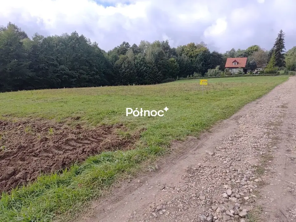 Zdjęcie 2