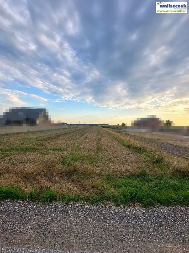 Działka rolna 9 999 m², Krzewiny