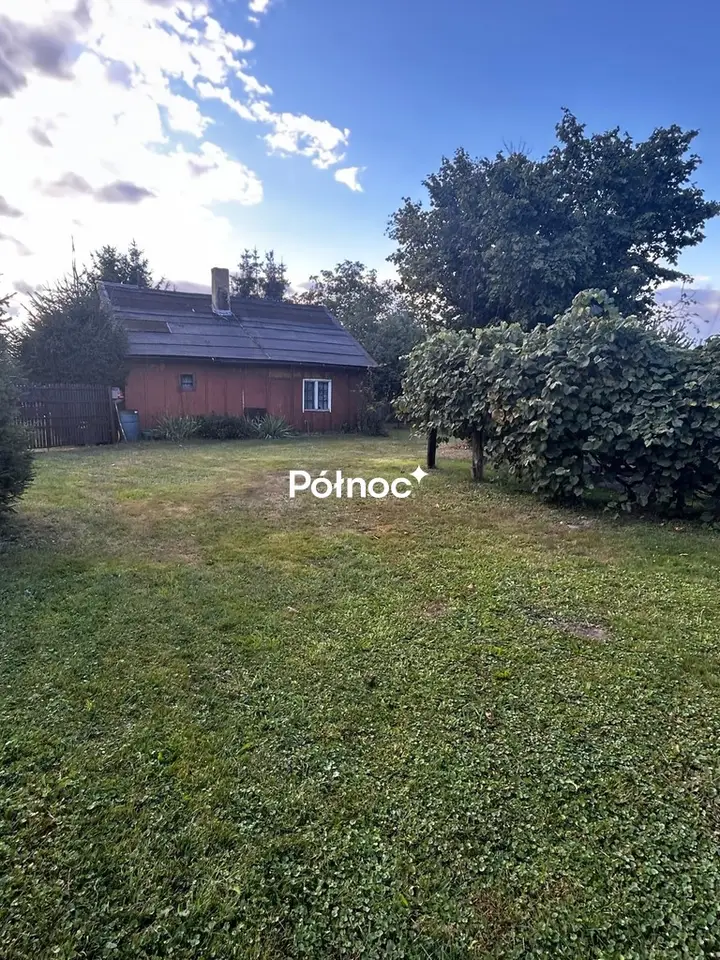 Zdjęcie 6