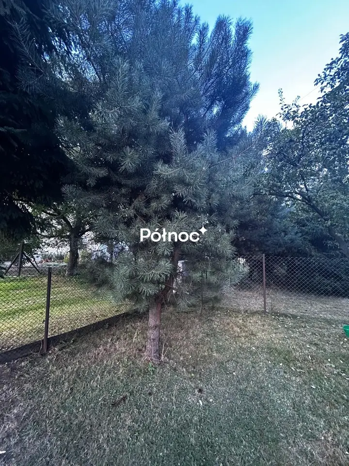 Zdjęcie 7