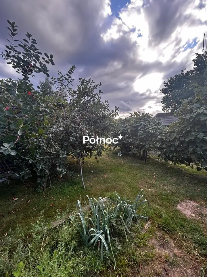 Zdjęcie 15