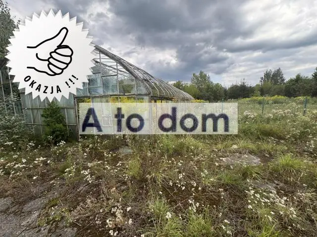 Zdjęcie 2