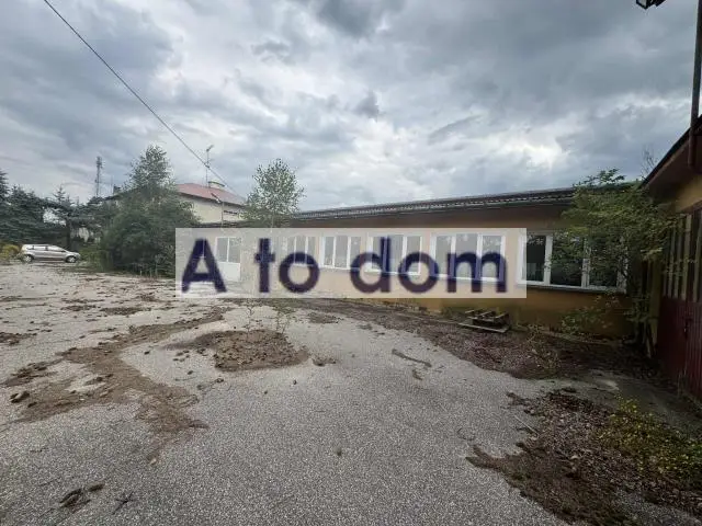 Zdjęcie 3