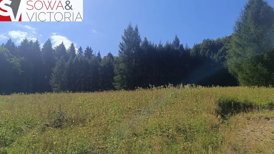 Działka budowlana 1,62 ha, Michałkowa