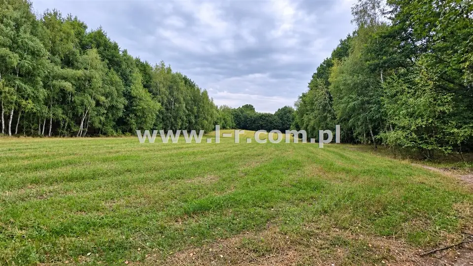 Zdjęcie 11
