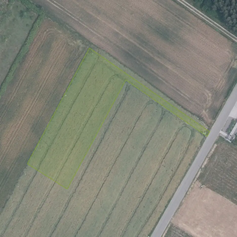 Działka budowlana 2 155 m², Tomaszowice kolonia