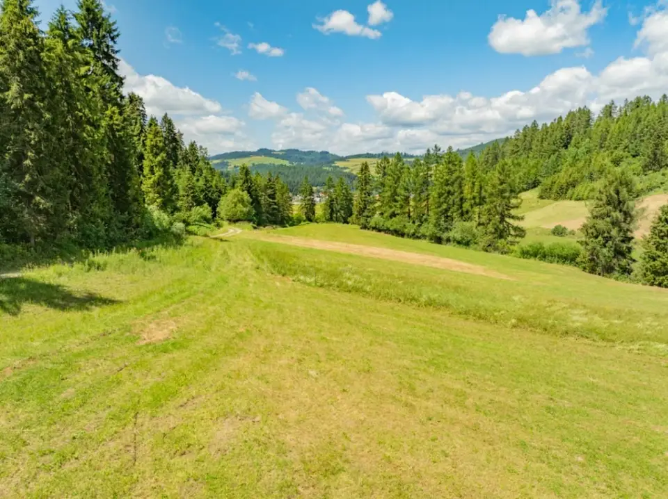 Zdjęcie 10
