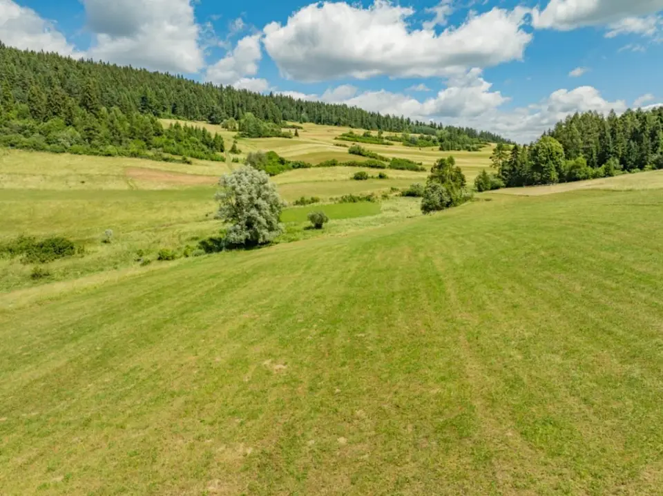 Zdjęcie 12