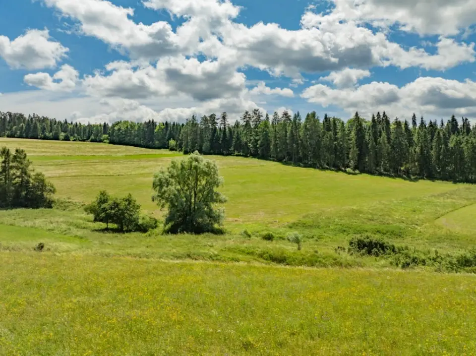 Zdjęcie 13