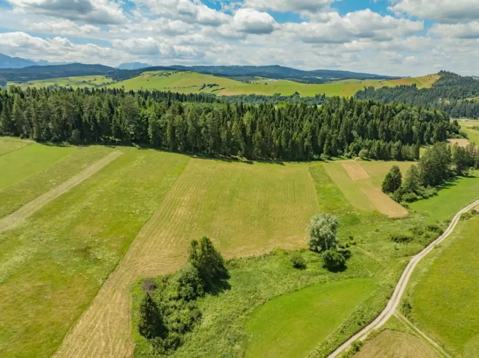Zdjęcie 14