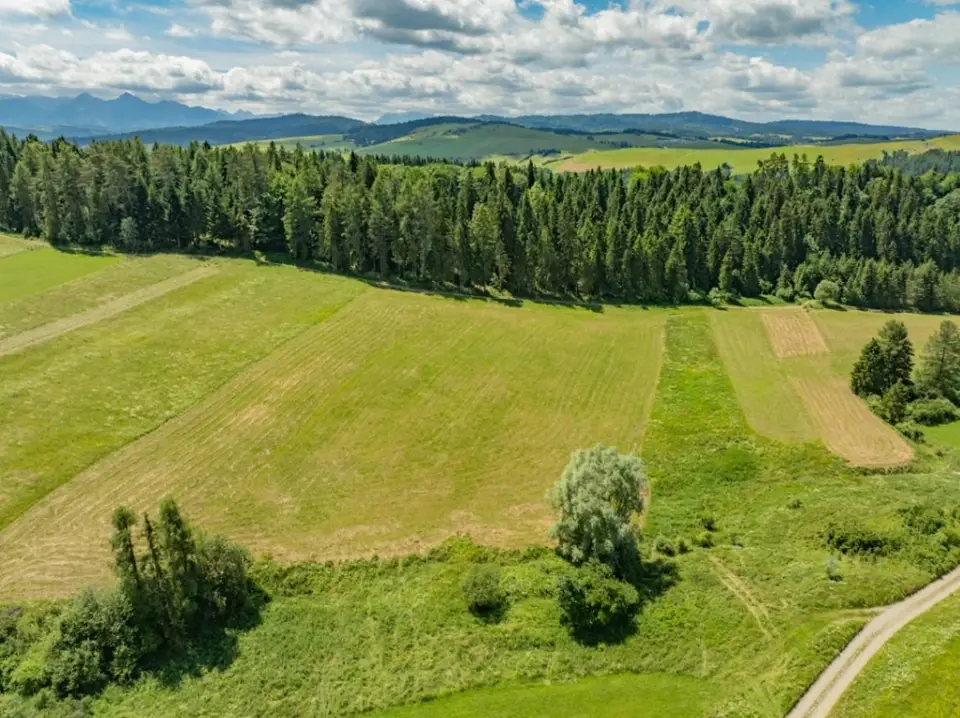 Zdjęcie 15