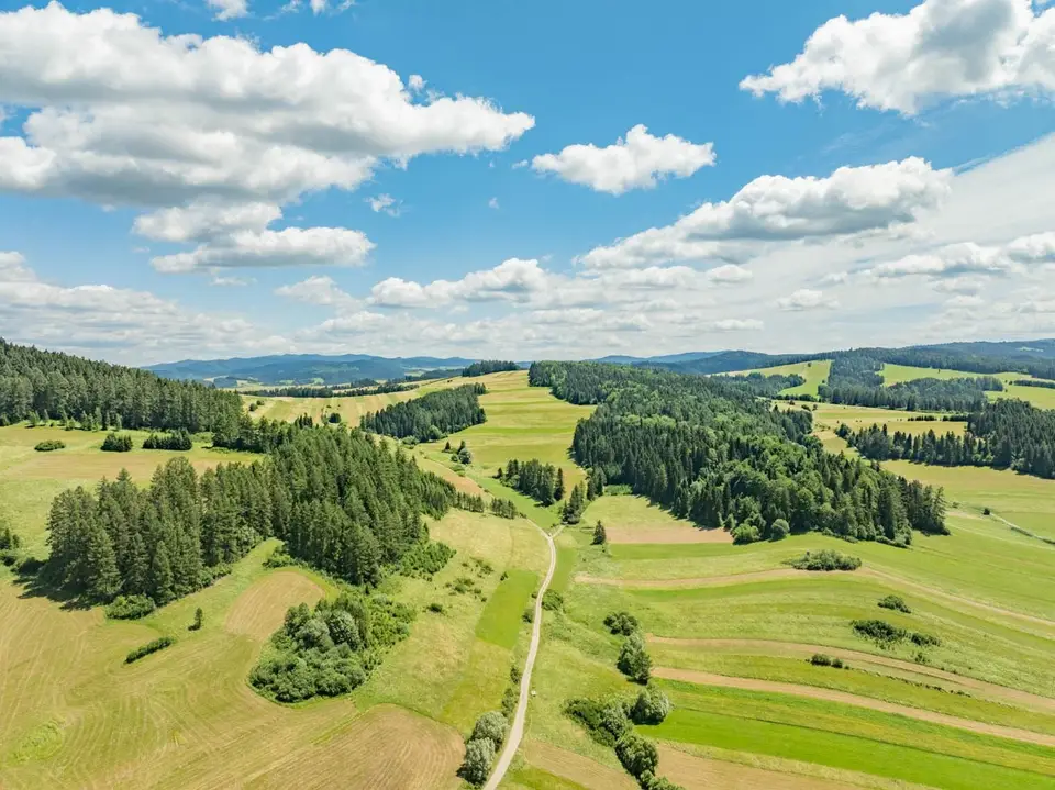 Zdjęcie 16