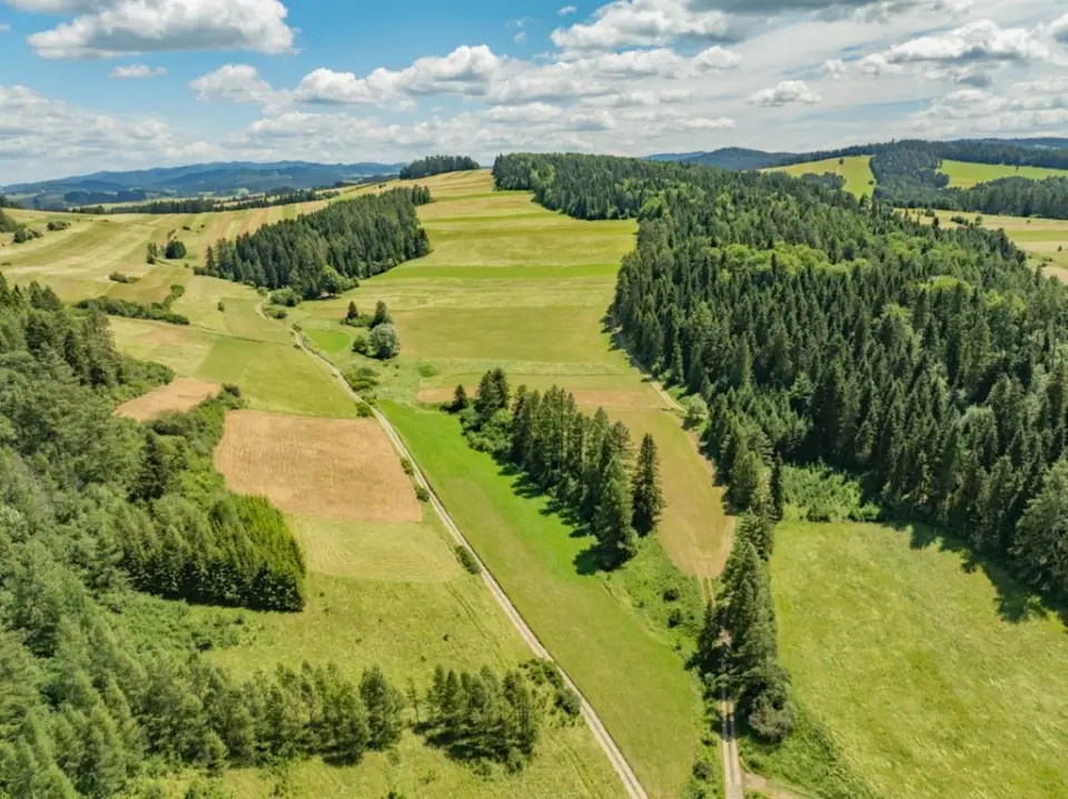 Zdjęcie 19