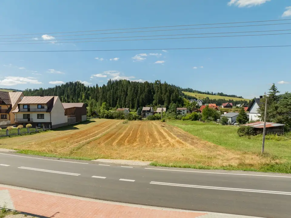 Zdjęcie 11