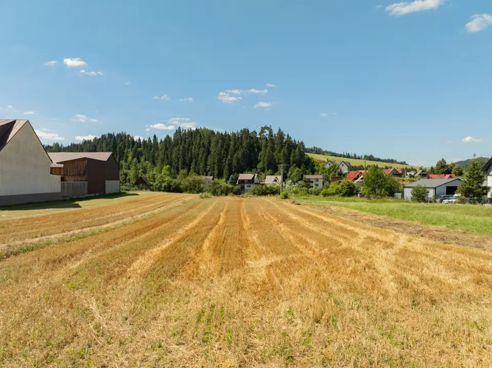 Zdjęcie 14