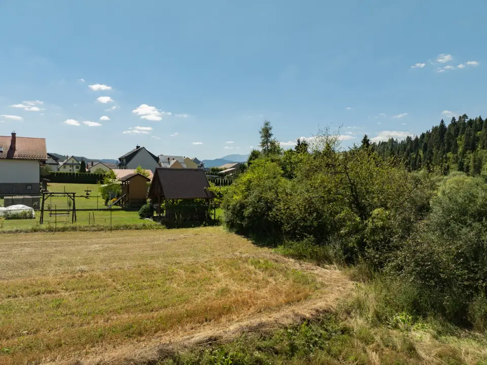 Zdjęcie 18
