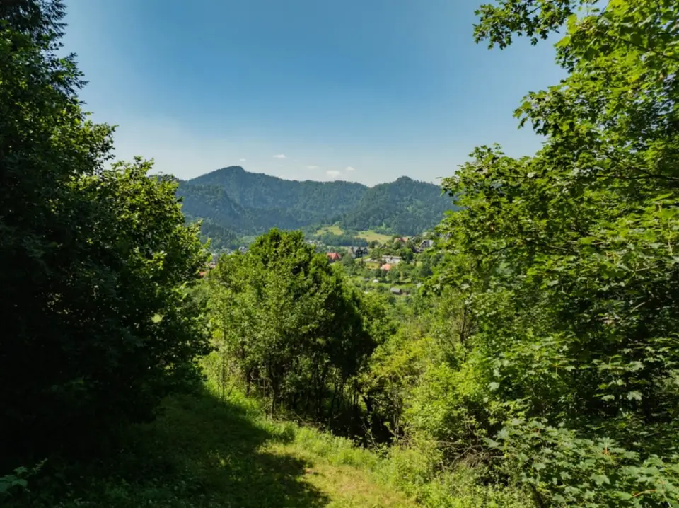 Działka rolna 1 295 m², Szczawnica