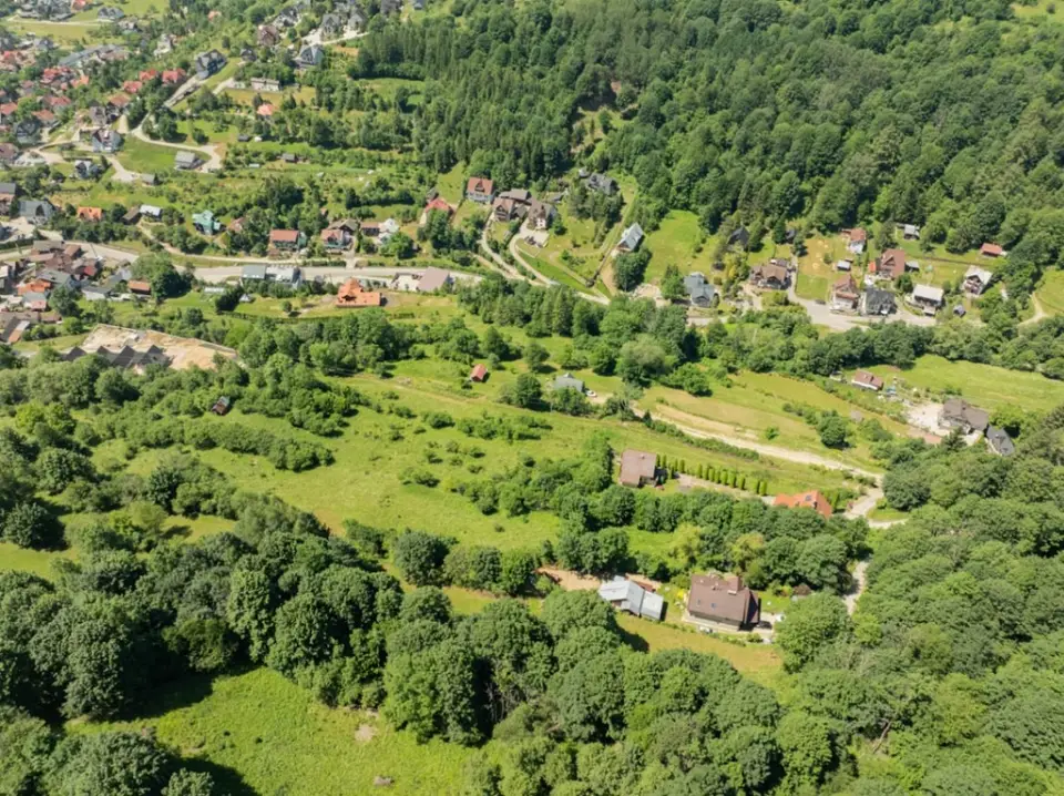 Zdjęcie 12