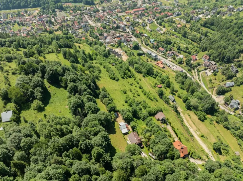 Zdjęcie 13