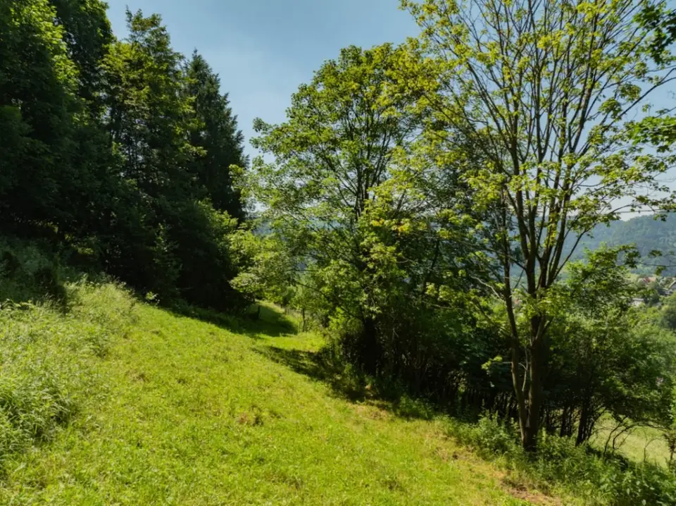 Zdjęcie 14