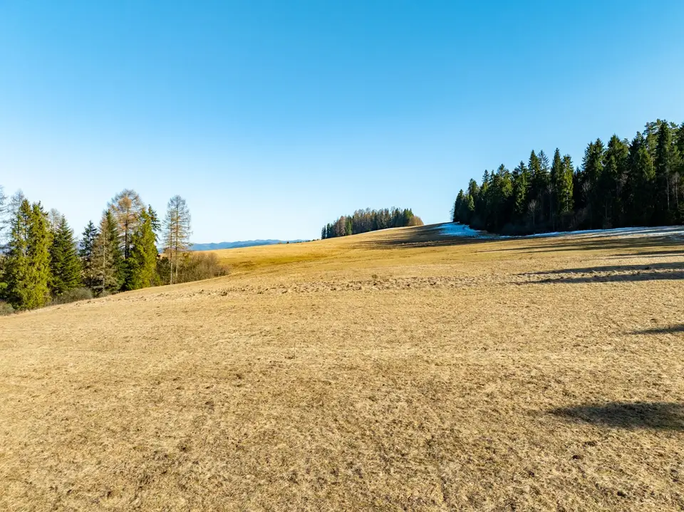 Zdjęcie 11