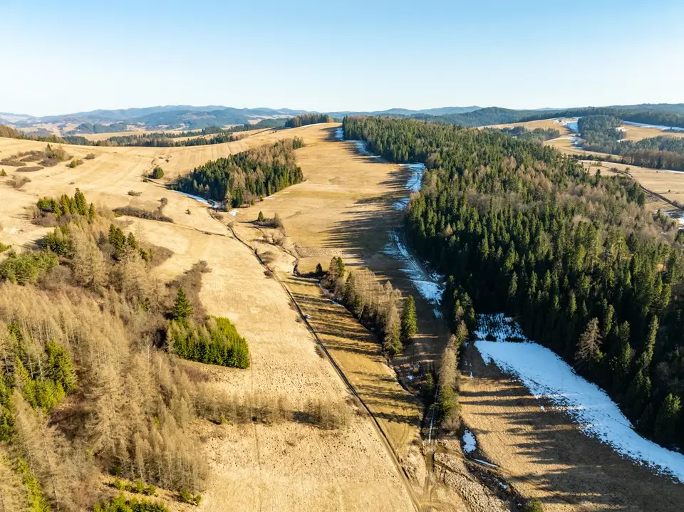 Zdjęcie 12
