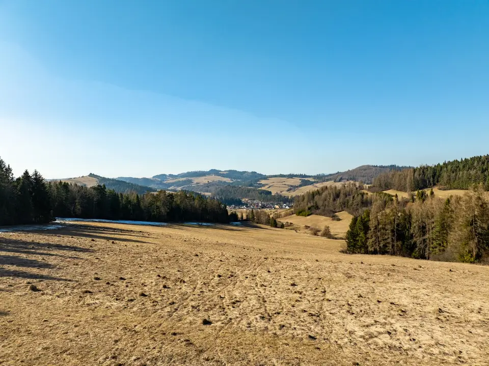 Zdjęcie 13