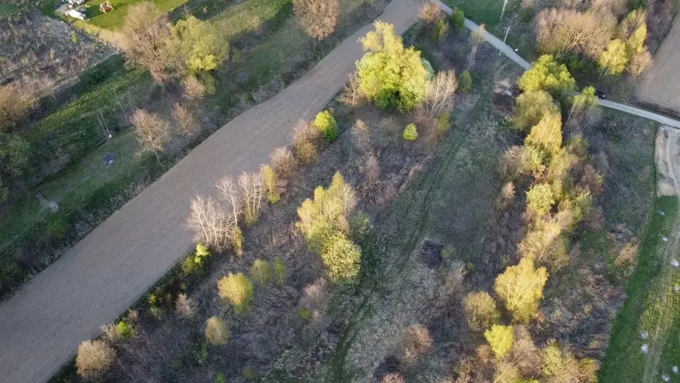 Zdjęcie 11