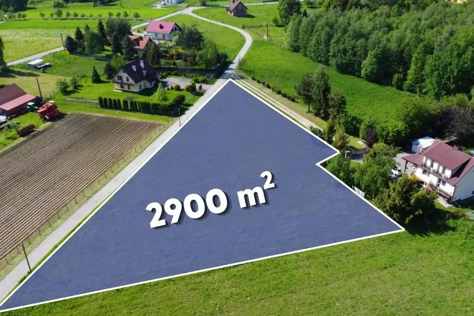 Zdjęcie 4