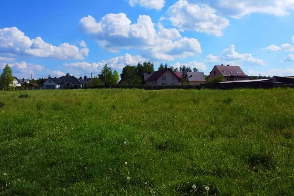 Zdjęcie 6