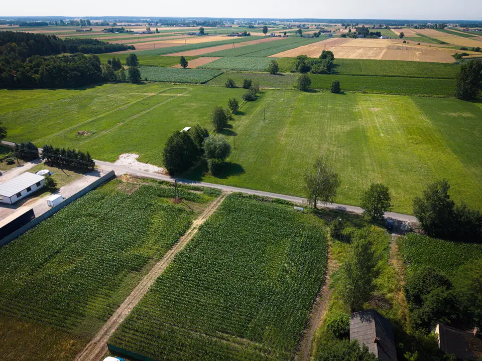 Zdjęcie 3