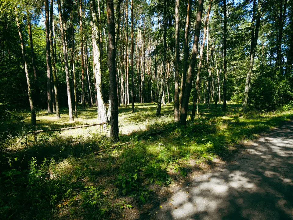 Działka budowlana 972 m², Księstwo