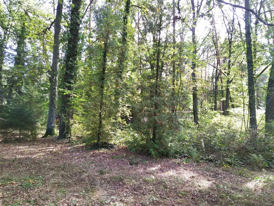 Działka budowlana 2 958 m², Sokolniki-Las
