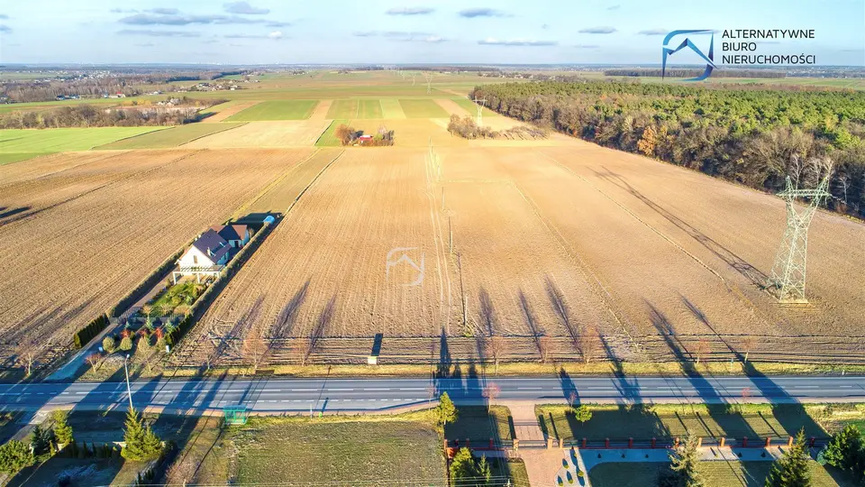 Zdjęcie 18