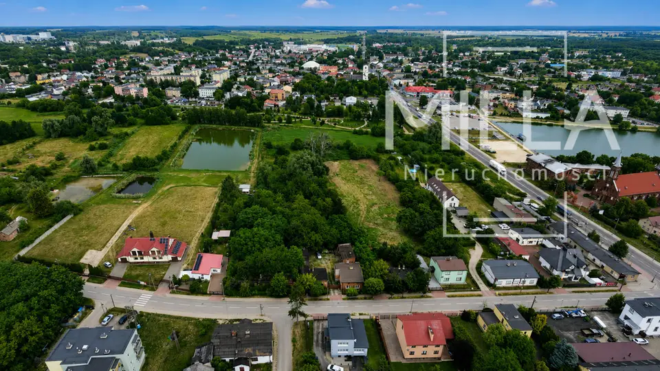 Zdjęcie 10