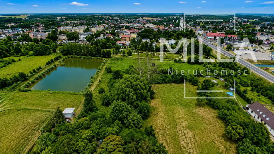 Zdjęcie 11