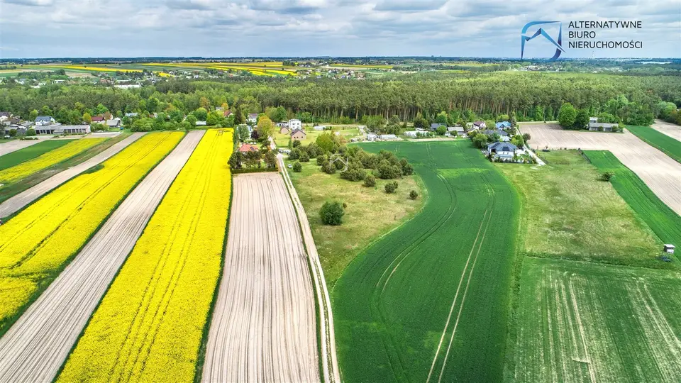 Zdjęcie 11