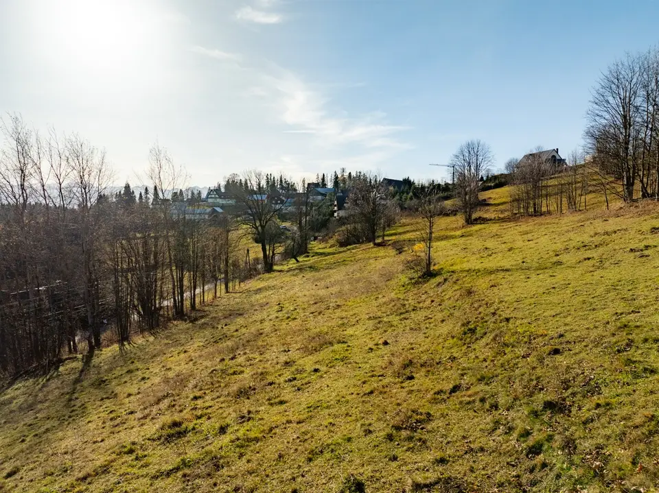 Zdjęcie 12