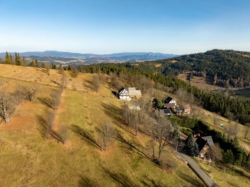 Zdjęcie 21