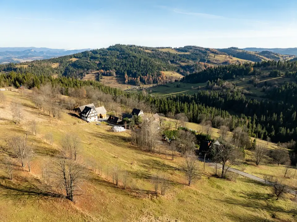 Zdjęcie 22