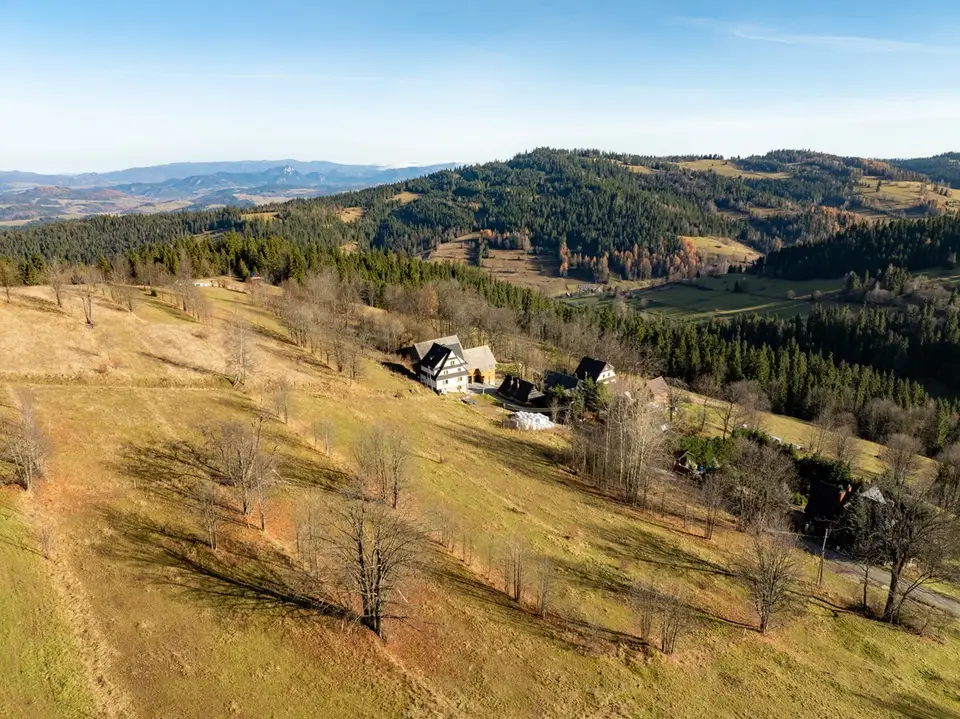 Zdjęcie 23