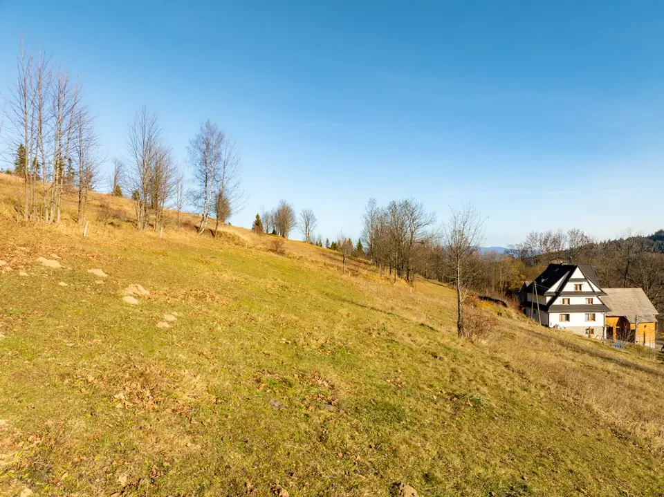 Zdjęcie 17