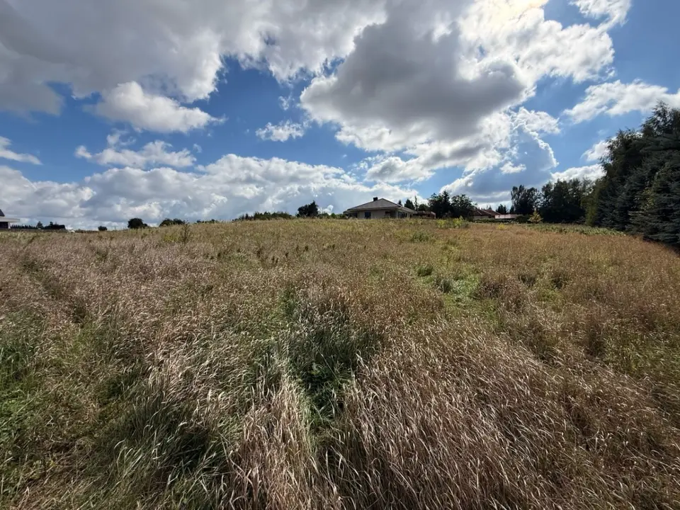 Zdjęcie 12