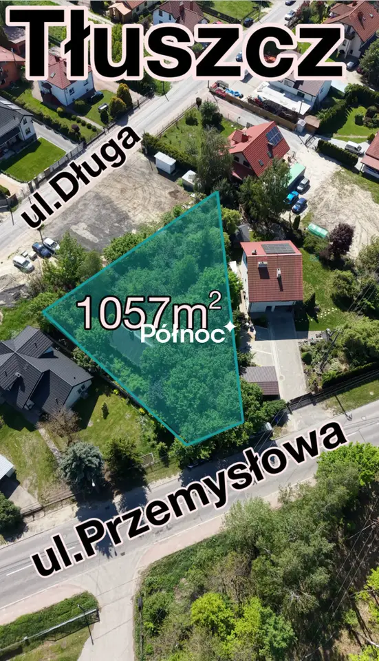 Zdjęcie 2