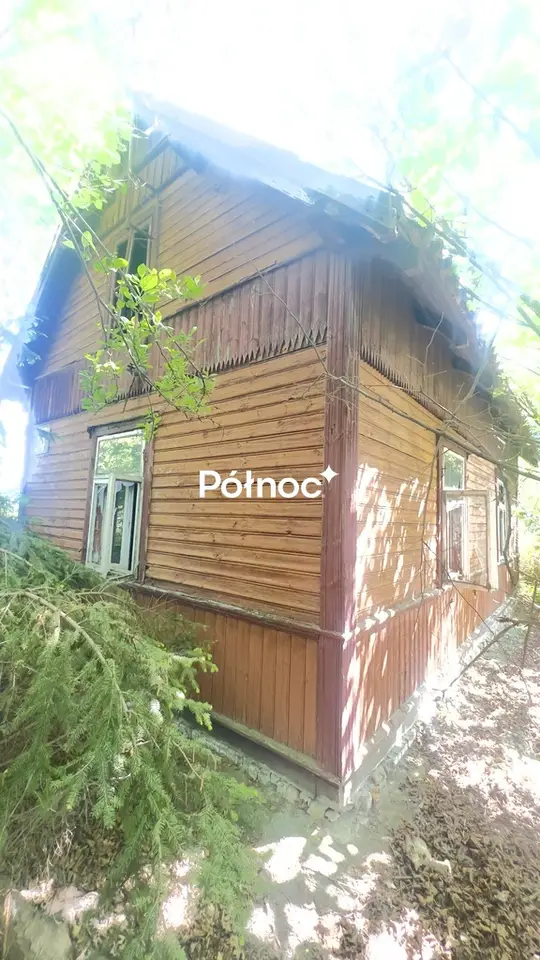 Zdjęcie 5