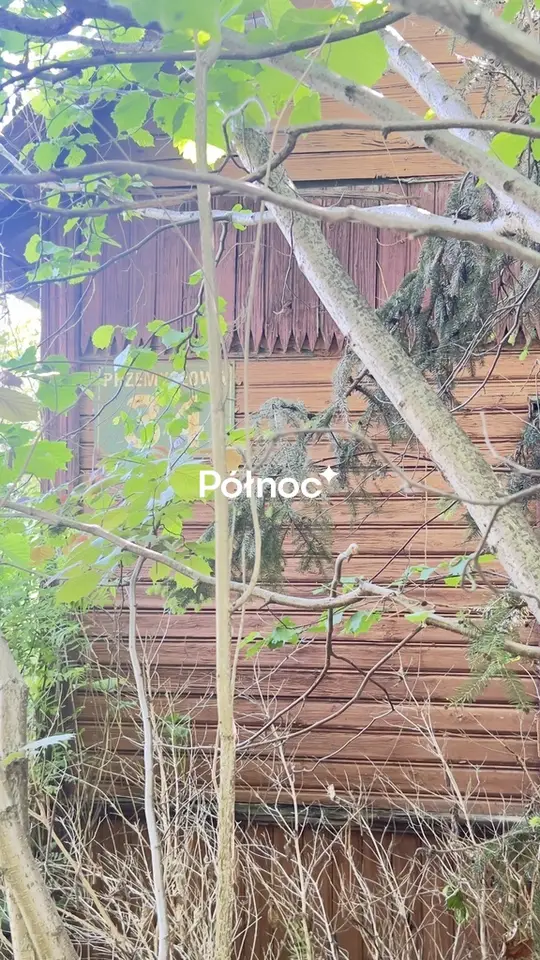 Zdjęcie 7