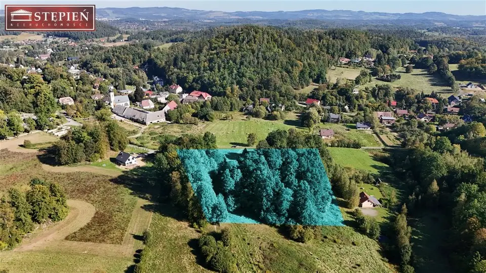 Zdjęcie 5