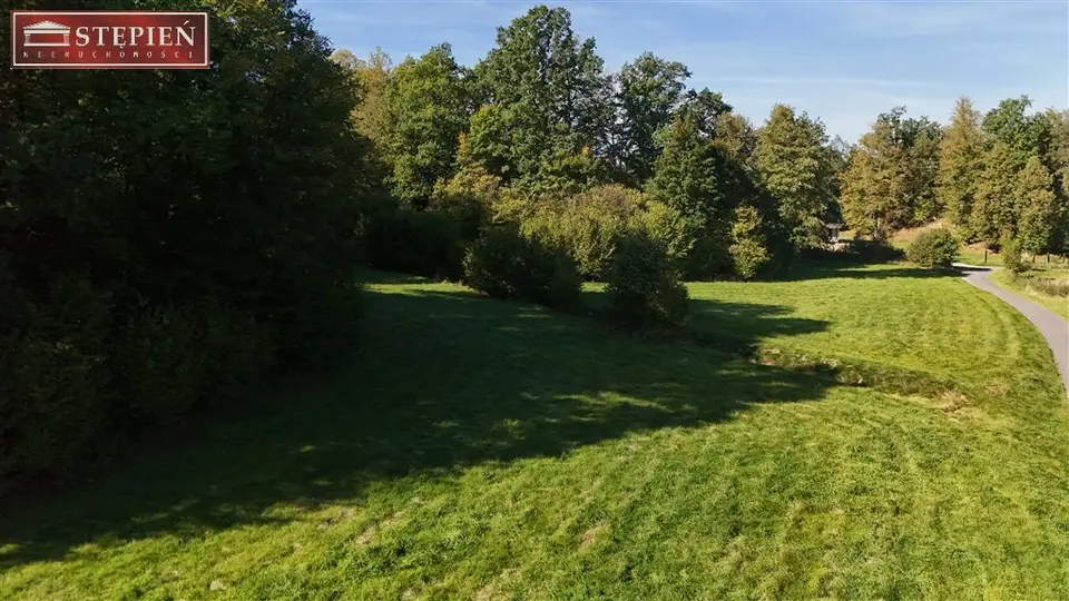 Zdjęcie 8