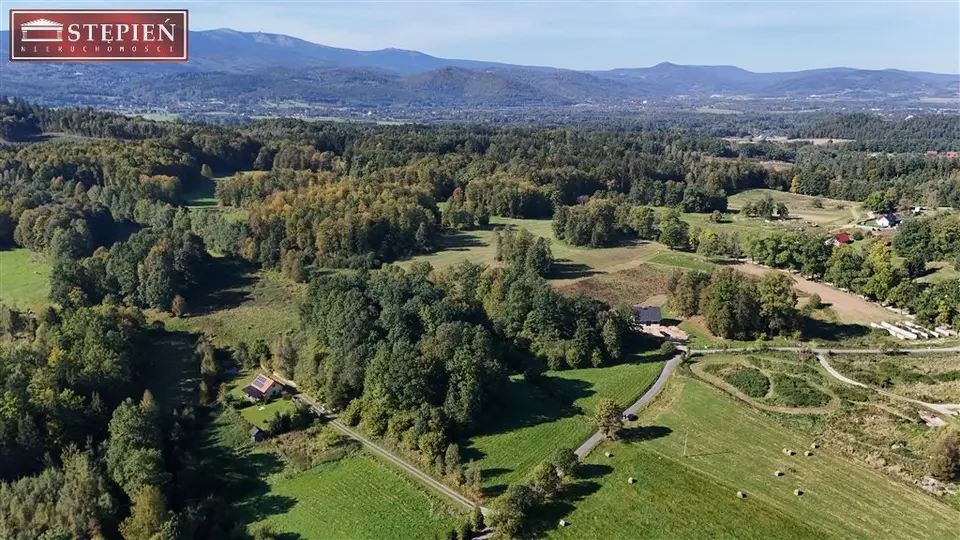 Zdjęcie 16
